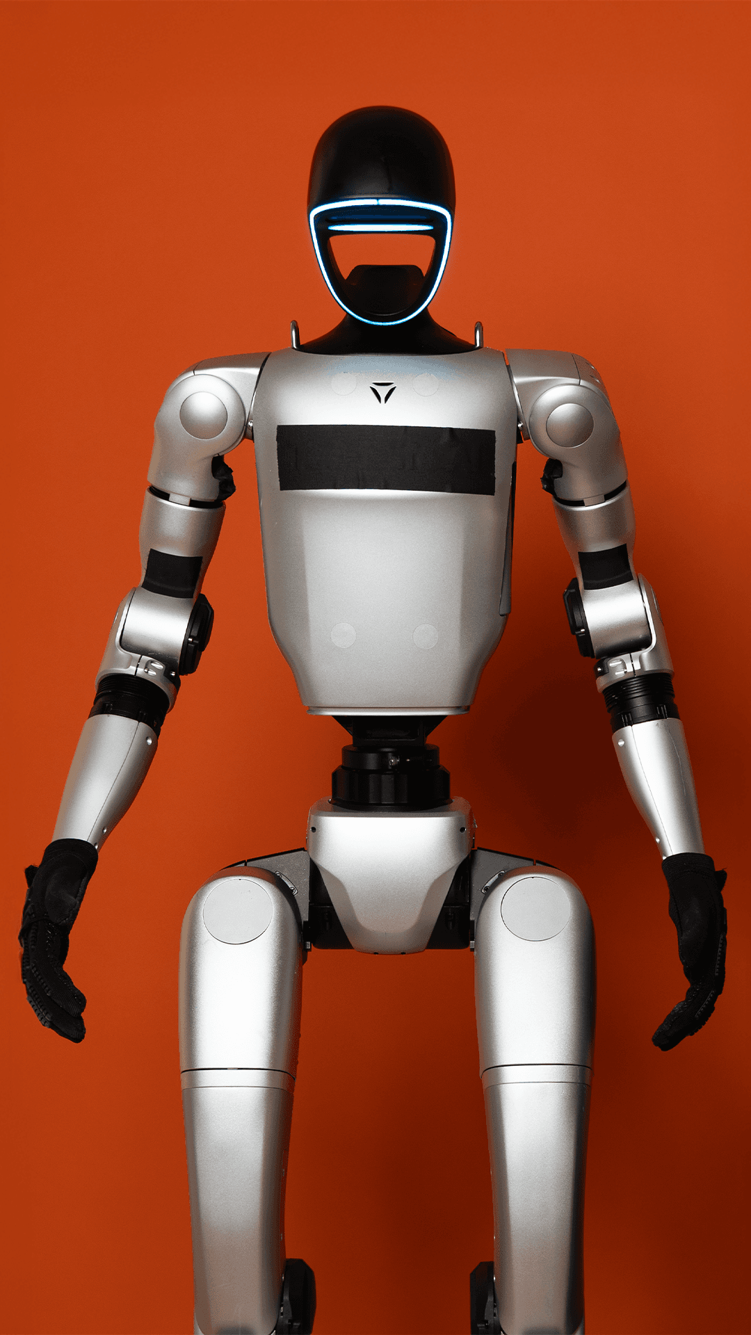 Bot-tholomew